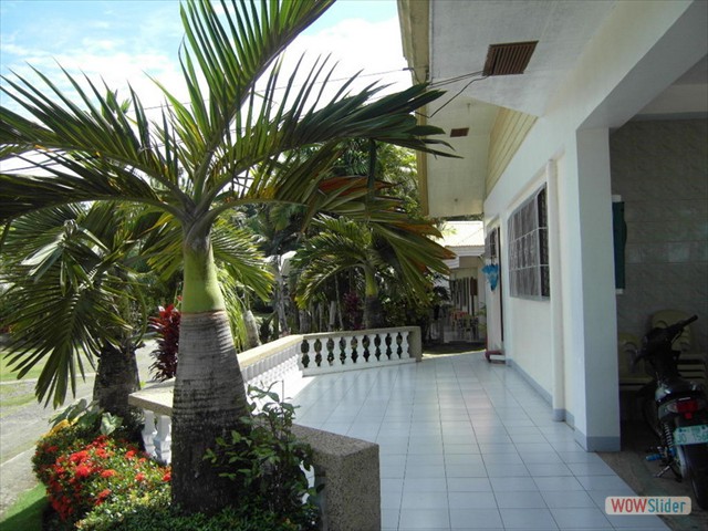 SDC11455