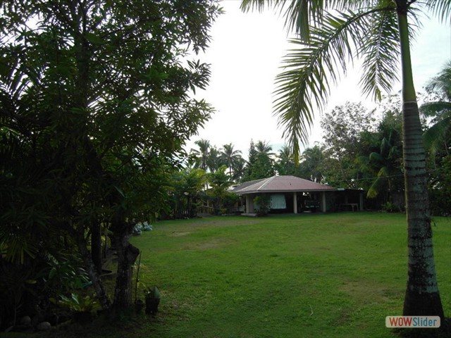 SDC11469