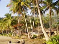 80-Nagtabon