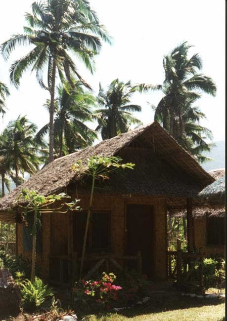 19-Taraw