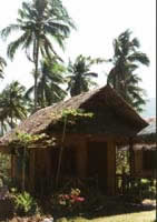 19-Taraw