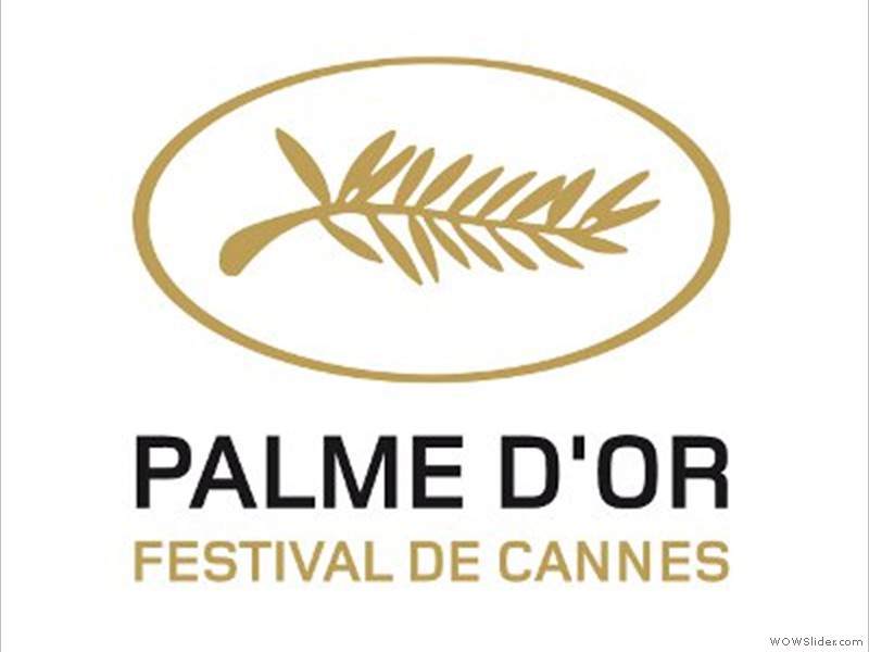 palme_1_fr